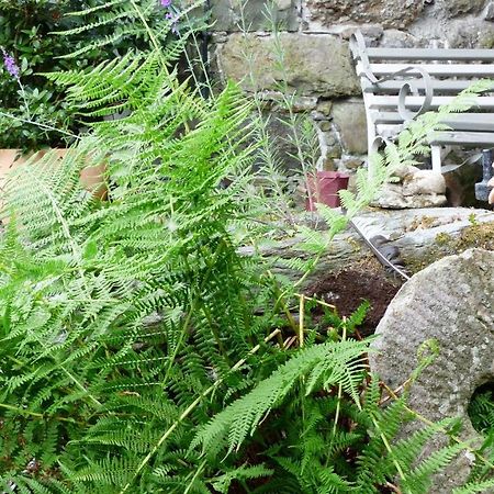 LlanwrthwlDoliforアパートメント エクステリア 写真