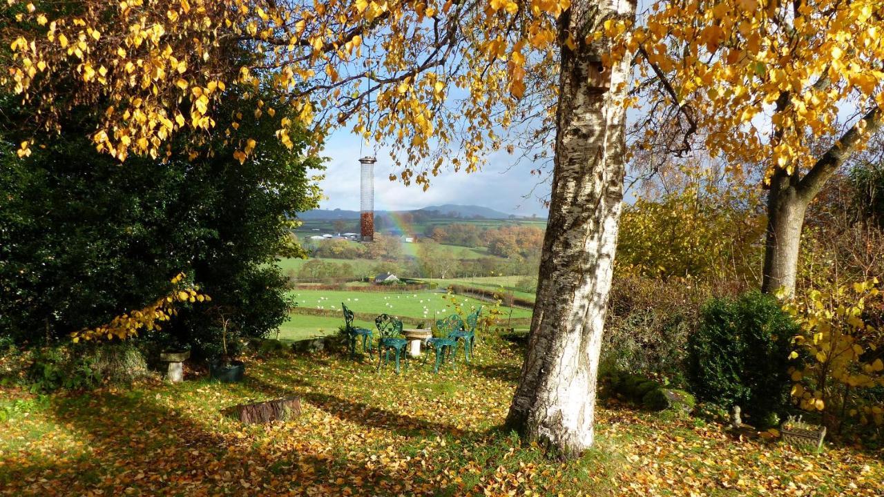 LlanwrthwlDoliforアパートメント エクステリア 写真