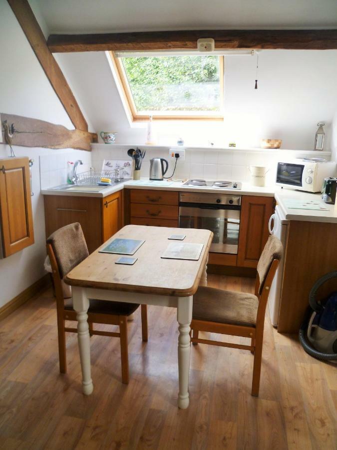 LlanwrthwlDoliforアパートメント エクステリア 写真