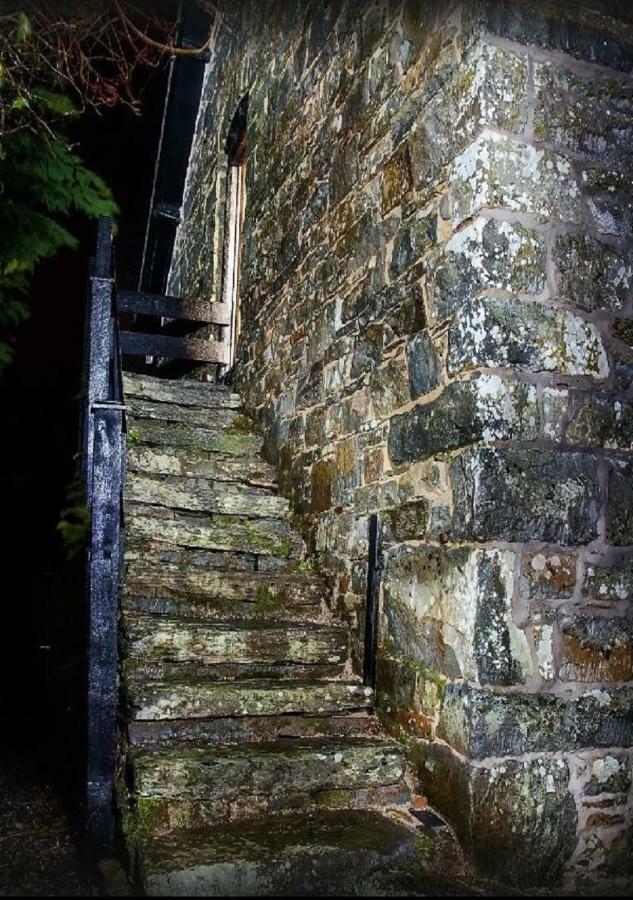 LlanwrthwlDoliforアパートメント エクステリア 写真