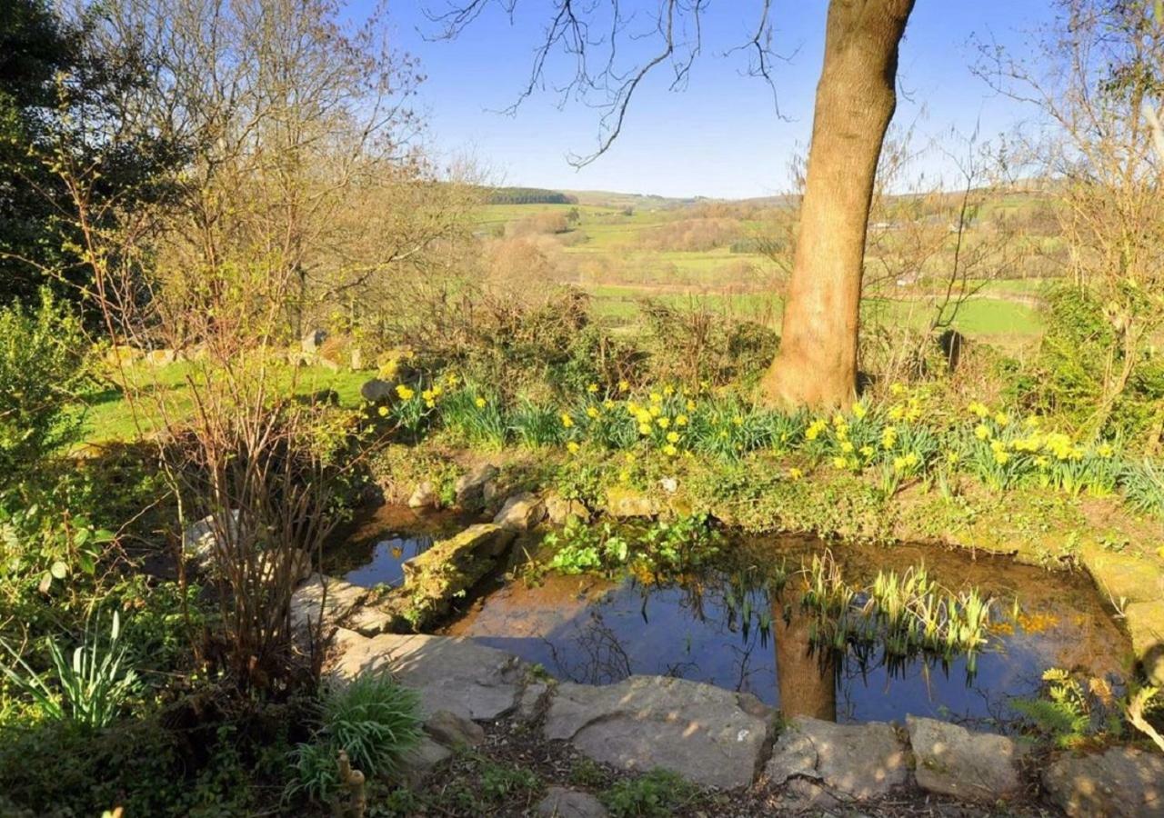 LlanwrthwlDoliforアパートメント エクステリア 写真